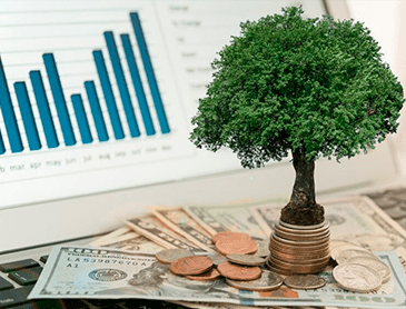 Из-за карантина в России увеличилось количество инвестиций в ценные бумаги